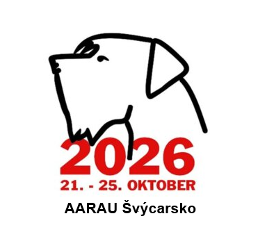 Kvalifikační podmínky pro reprezentaci KCHK ČR...