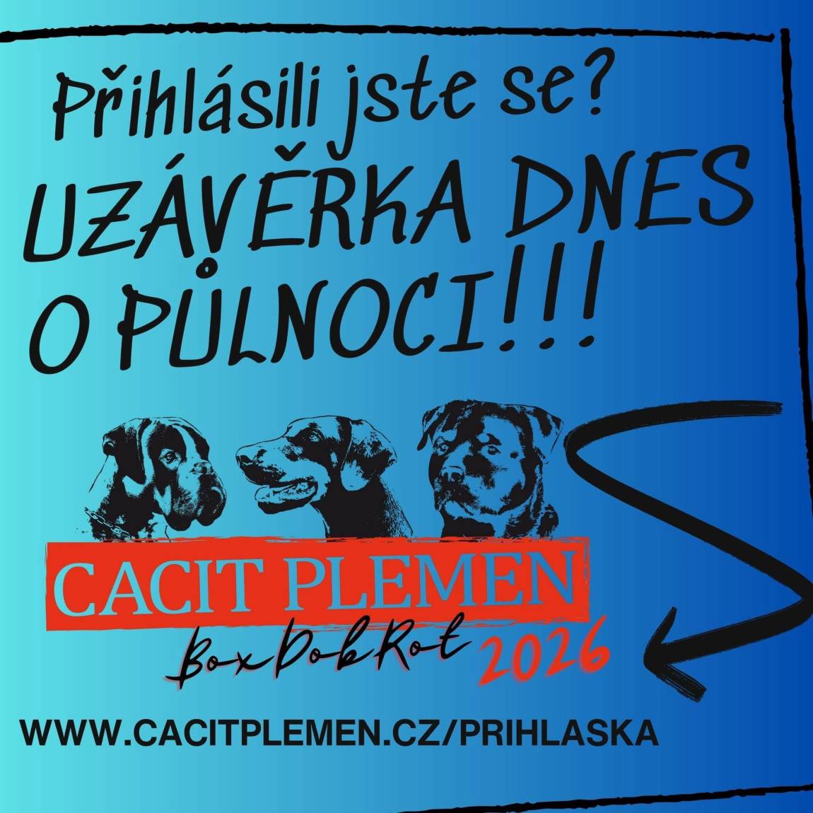 Mistrovství velkých kníračů IGP3 a Junior IGP1