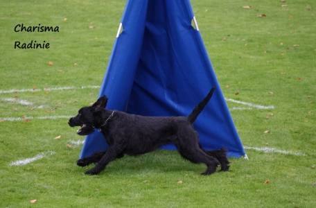 Hana Konrádová & Charisma Radinie