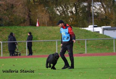 Radoslav Parolek & Walleria Stanios