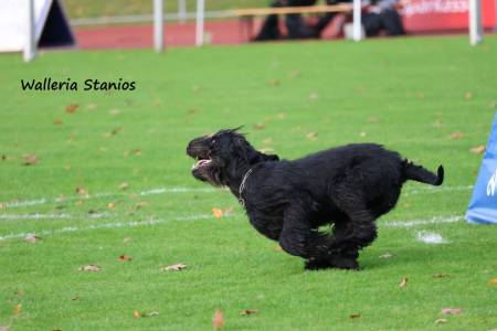 Radoslav Parolek & Walleria Stanios