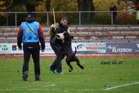 Jiří Radovesnický & Gent Ve-Fi