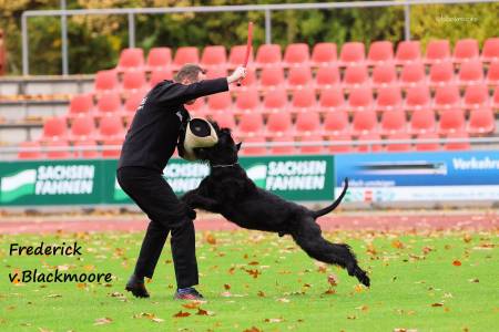 Alice Zelinková & Frederick von Blackmoore