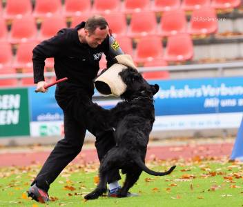 Alice Zelinková & Frederick von Blackmoore