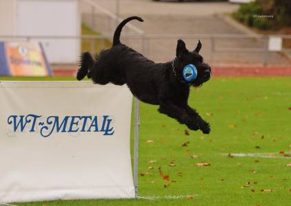 Alice Zelinková & Frederick von Blackmoore