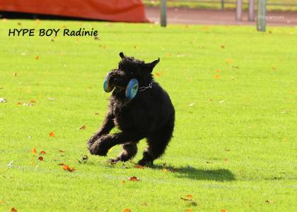 Kristýna Vodrážková & Hype Boy Radinie
