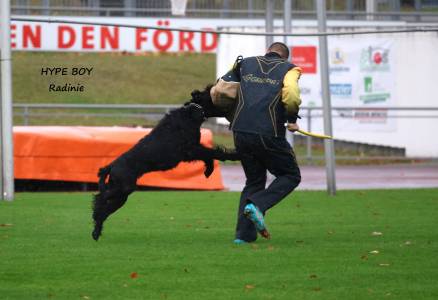 Kristýna Vodrážková & Hype Boy Radinie