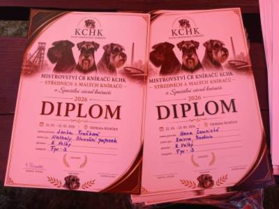 diplomy